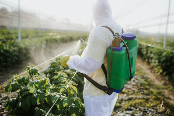 Best Affordable Pest Control Services  in Pupukea, HI